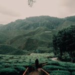 Travel Health Precautions for Tropical Climate Destinations