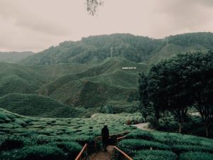 Travel Health Precautions for Tropical Climate Destinations