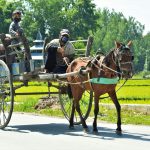 Remote Work Revolution Changes Traditional Employment Forever