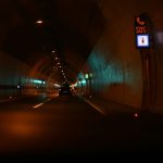 Safely Transporting Pets During Long Car Journeys