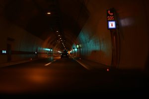 Safely Transporting Pets During Long Car Journeys