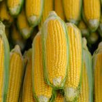 Seasonal Eating Aligns Diet with Natural Food Cycles