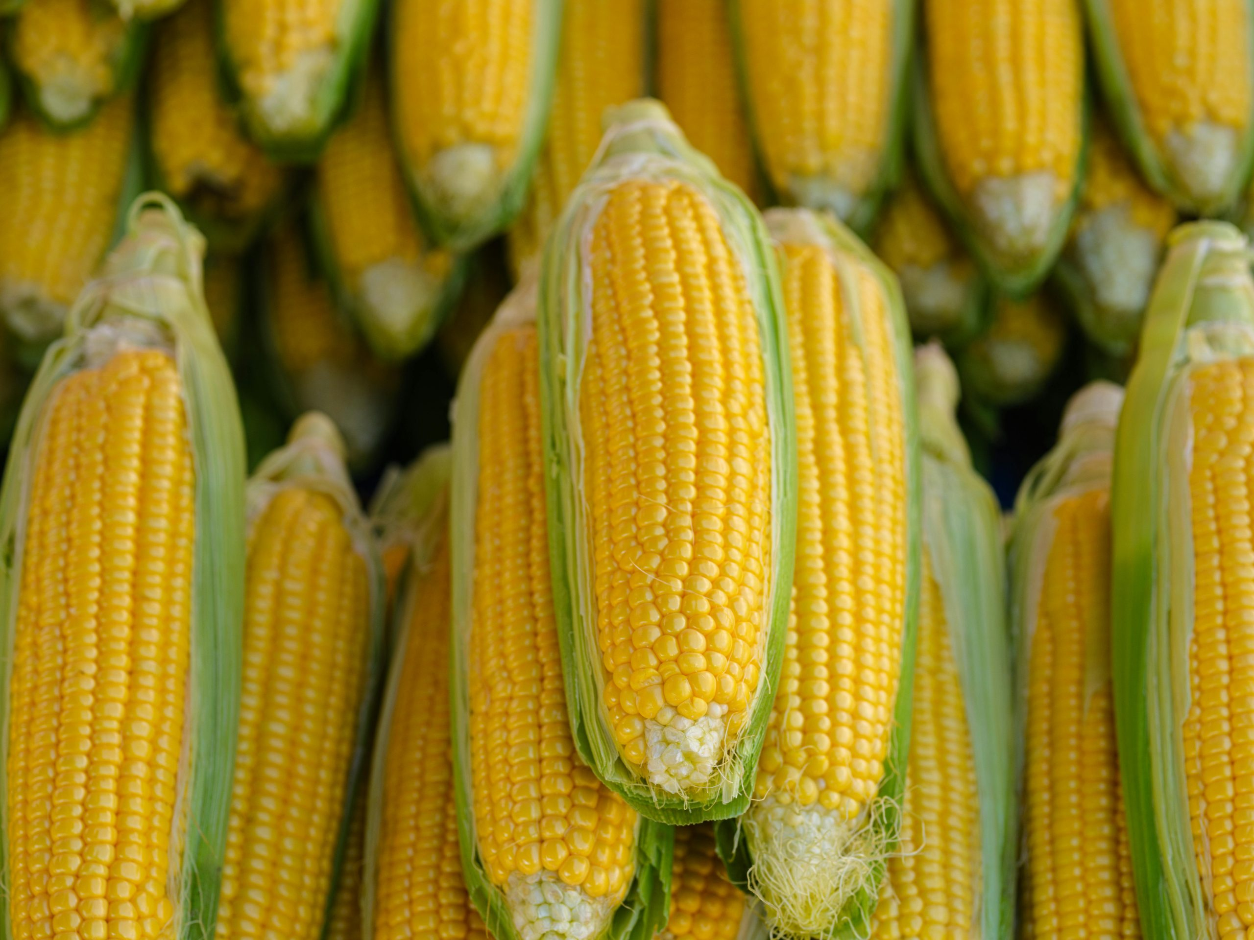 Seasonal Eating Aligns Diet with Natural Food Cycles