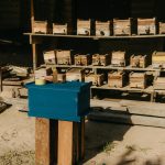 Sustainable Living Environmental Choices Improve Your Life Quality