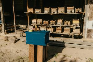 Sustainable Living Environmental Choices Improve Your Life Quality