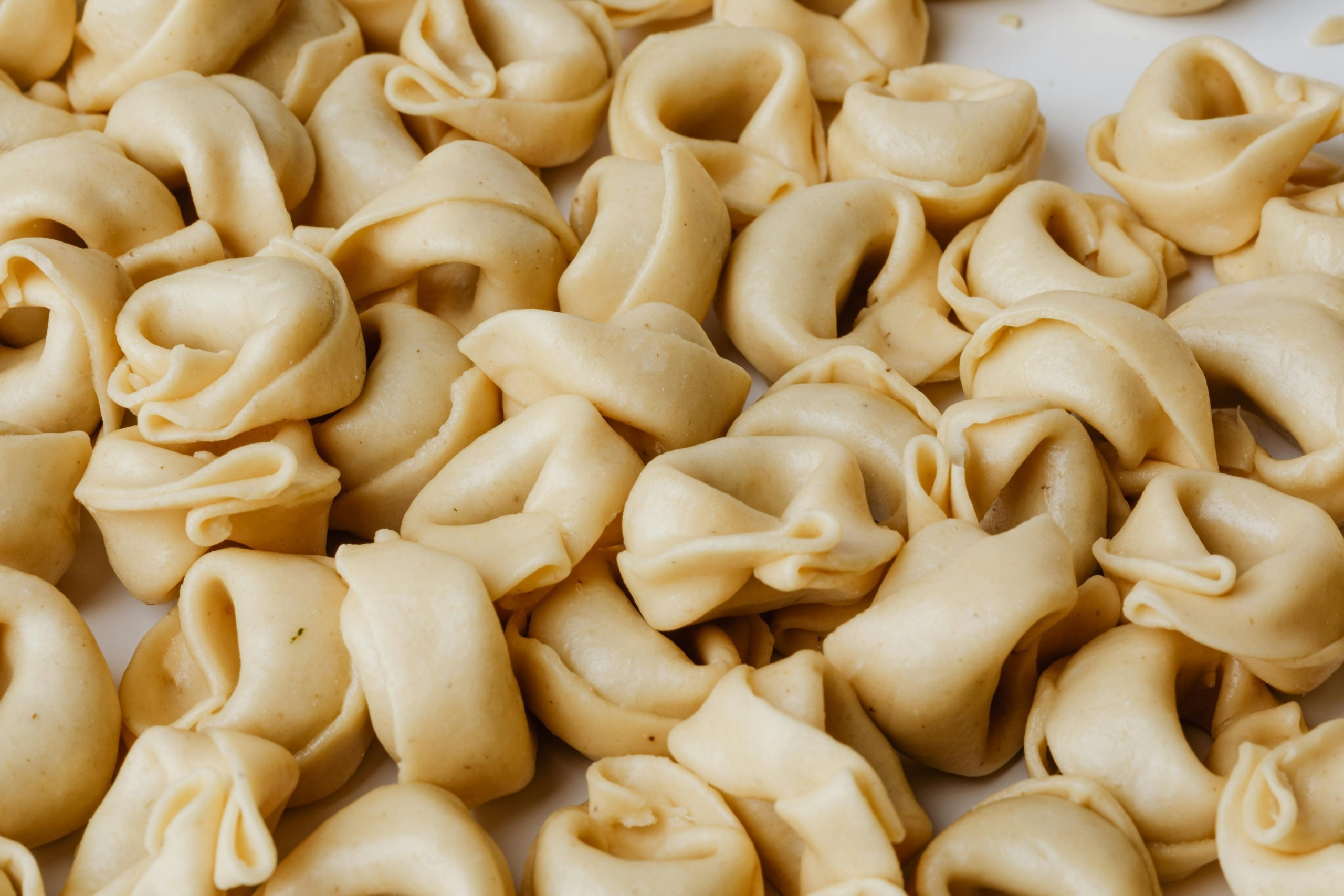 Automated Pasta Makers: Fresh Pasta with Minimal Effort