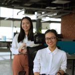 Executive Search Firms Target Specific Professional Skill